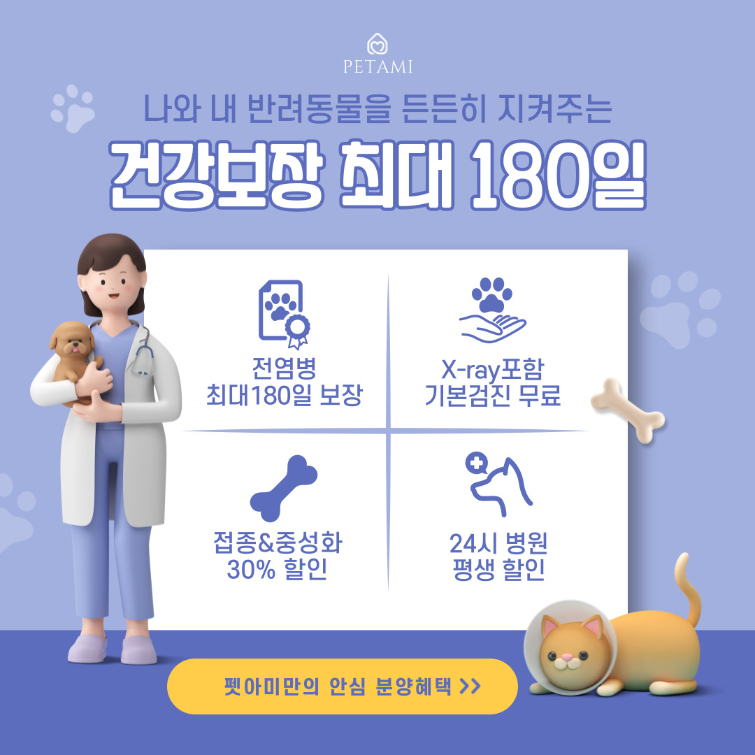 펫아미 상단 배너