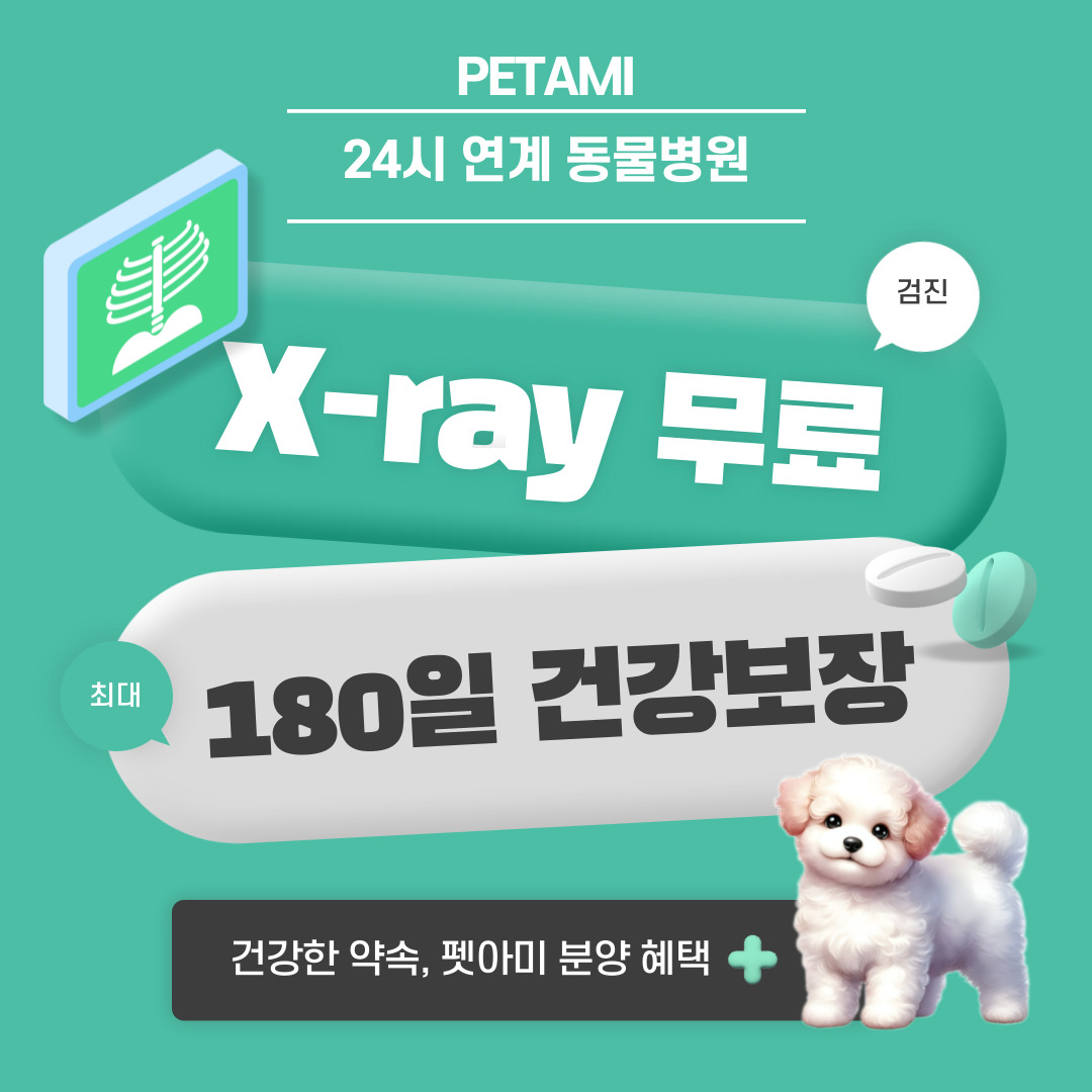 펫아미 상단 배너