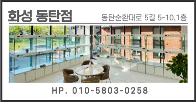 동탄점 네이버 플레이스