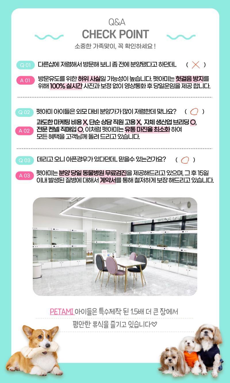 펫아미 분양 안내 체크포인트